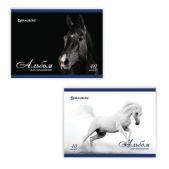 Альбом для рисования 40л Brauberg 103728 обложка мелованный картон, 100г/м2, Благородные кони (2 вида), EAC