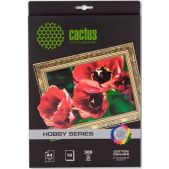 Холст Cactus CS-CA426010 A4/300г/м2/10л для струйной печати