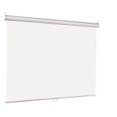 Настенный экран Lumien LEP-100120 Eco Picture 198х300см рабочая область 164х292см Matte White верх.кайма 30 см, прямоуголный корпус, возможность потолочн./настенного крепления, уровень в комплекте, 16:9