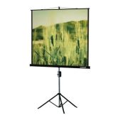 Экран для проектора 165x220см Lumien LMV-100113 Master View Matte White FiberGlass черная кайма по периметру, устойчивый штатив 4:3