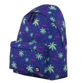 Рюкзак Brauberg 228864 сити-формат универсальный, Palm trees, разноцветный, 41х32х14 см
