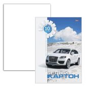 Картон белый А4 МЕЛОВАННЫЙ (белый оборот), 20 листов, в папке, ОСТРОВ СОКРОВИЩ, 200х290 мм, 111313