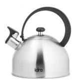 Чайник Lara LR00-65 матовый 2.5л