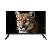 Телевизор 24 Topdevice TDWC24BH1000I черный ЭДО 24/1366x768/DVB-S2/3xHDMI/2xUSB